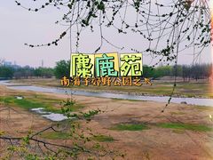 -北京麋鹿生态实验中心