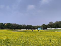 -北陵公园