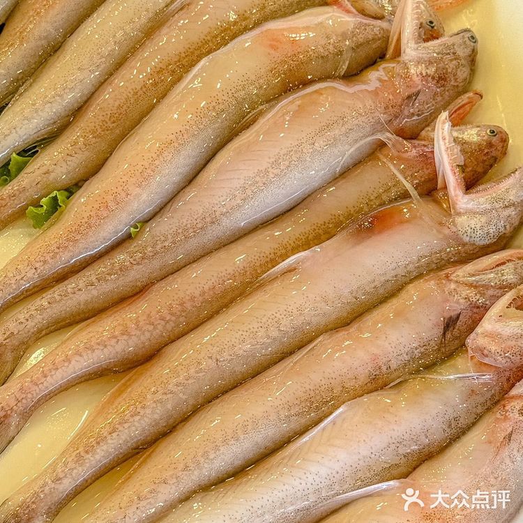 人生建议:去吃一次,节省一次去宁波的钱