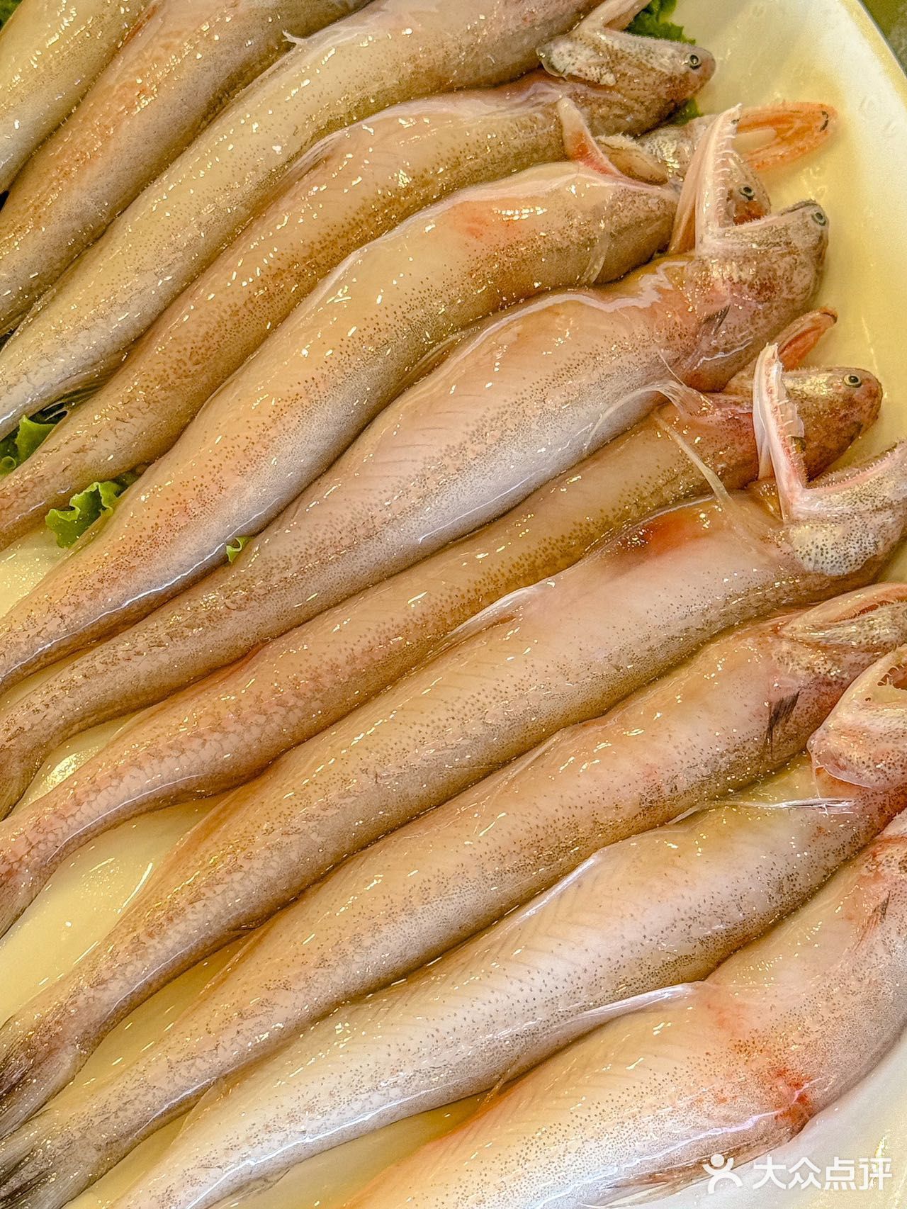 人生建议：去吃一次，节省一次去宁波的钱