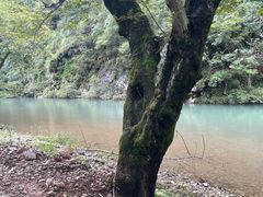 -水墨汀溪风景区