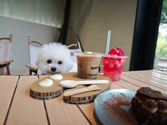 -J Create城市露营咖啡·简餐·宠物(上海动物园店)