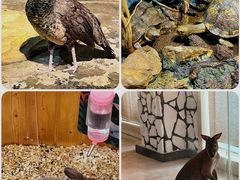 -海合安武汉极地海洋公园