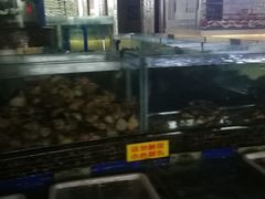 -欢乐海岸美食联盟
