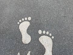 -火炉山森林公园