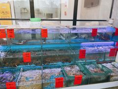 水产区-洲晓鲜·舟山海鲜大排档(朱家尖风景区店)
