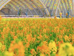 -中国天府农业博览园