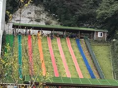 -梦幻奥陶纪景区