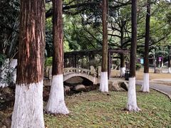 -天鹿湖森林公园