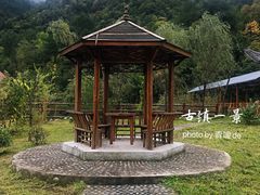 -黑河国家森林公园