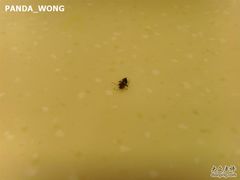 呃。。-麦当劳