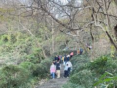 -南京市江宁方山
