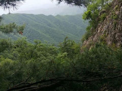 -王顺山国家森林公园