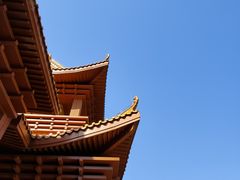 -深圳仙湖植物园