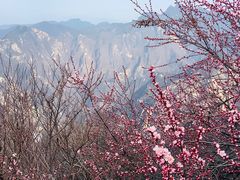 -华山风景名胜区