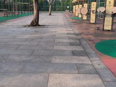 -东岳体育公园