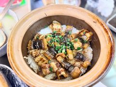 -红星光发煲仔饭(文海店)