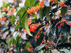 -上海市龙华烈士陵园