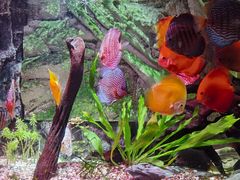 -上海海洋水族馆