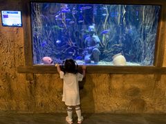 -华夏文旅海洋公园