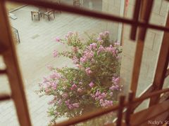 -江苏省美术馆(长江路新馆)