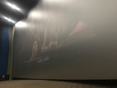 -天幕新彩云国际影城(激光巨幕店)