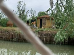 -泗洪洪泽湖湿地景区