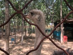 -草根堂农场