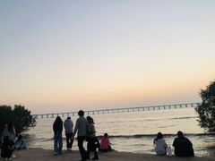 -宝安西湾红树林湿地公园