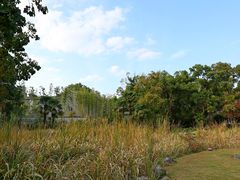 -杭州植物园