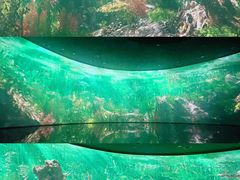 -中国湿地博物馆