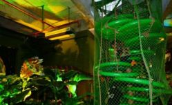 -恐龙探索乐园(磁器口店)