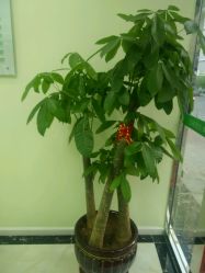 -清颜堂专业祛痘