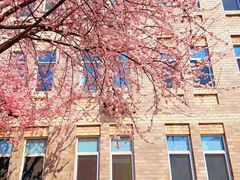 -辽宁大学(崇山校区)