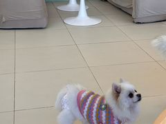 -怪兽屋·羊驼·猫咖·狗咖(俊华广场店)