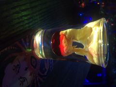 星宿秘码咖啡小酒馆(星宿秘码)-星宿秘码(鼓浪屿老店)