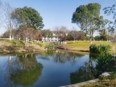 -梁鸿湿地丽笙度假酒店大堂吧