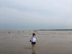 -南汇嘴观海公园