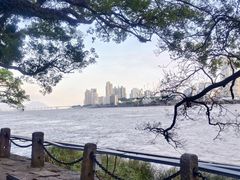 -江心屿景区