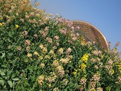 -中国天府农业博览园