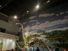 -自贡恐龙博物馆