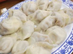 牛肉西葫芦水饺-隆福寺小吃店(东四店)