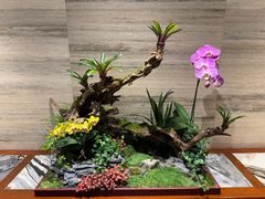 -广州白天鹅宾馆