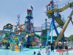 -苏州乐园森林水世界