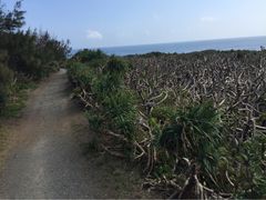 龙坑生态保护区-龙坑生态保护区