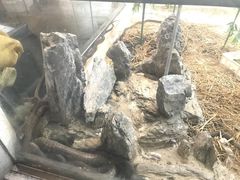 景观位-荔城生鲜盛宴(番禺旗舰店)