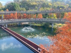 -梅峰山地公园