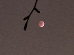 -大钟寺古钟博物馆