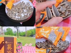 -广富林郊野公园