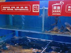 -集草轩·重庆麻辣烤鱼(西湖道店)